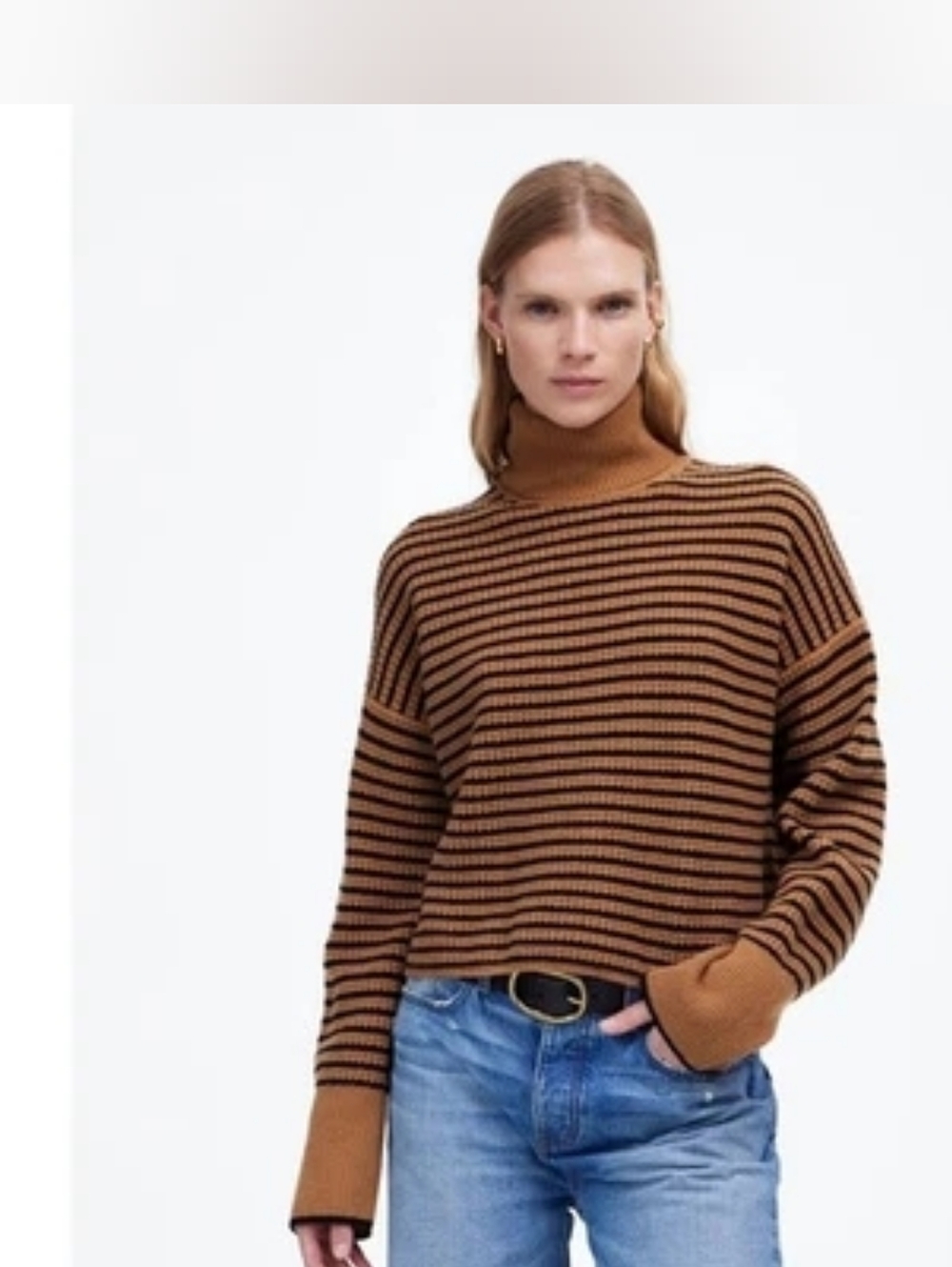 Madewell Wool Brown and Black Striped Cropped Turtleneck Sweater  Medium